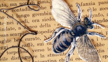 stampare su stoffa