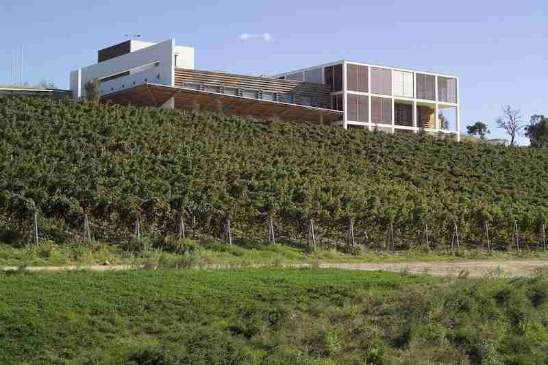 visita alle cantine di design Cantina Colle Massari Edoardo Milesi
