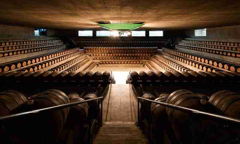 Visite alle cantine di design Rocca di Frassinello Renzo Piano