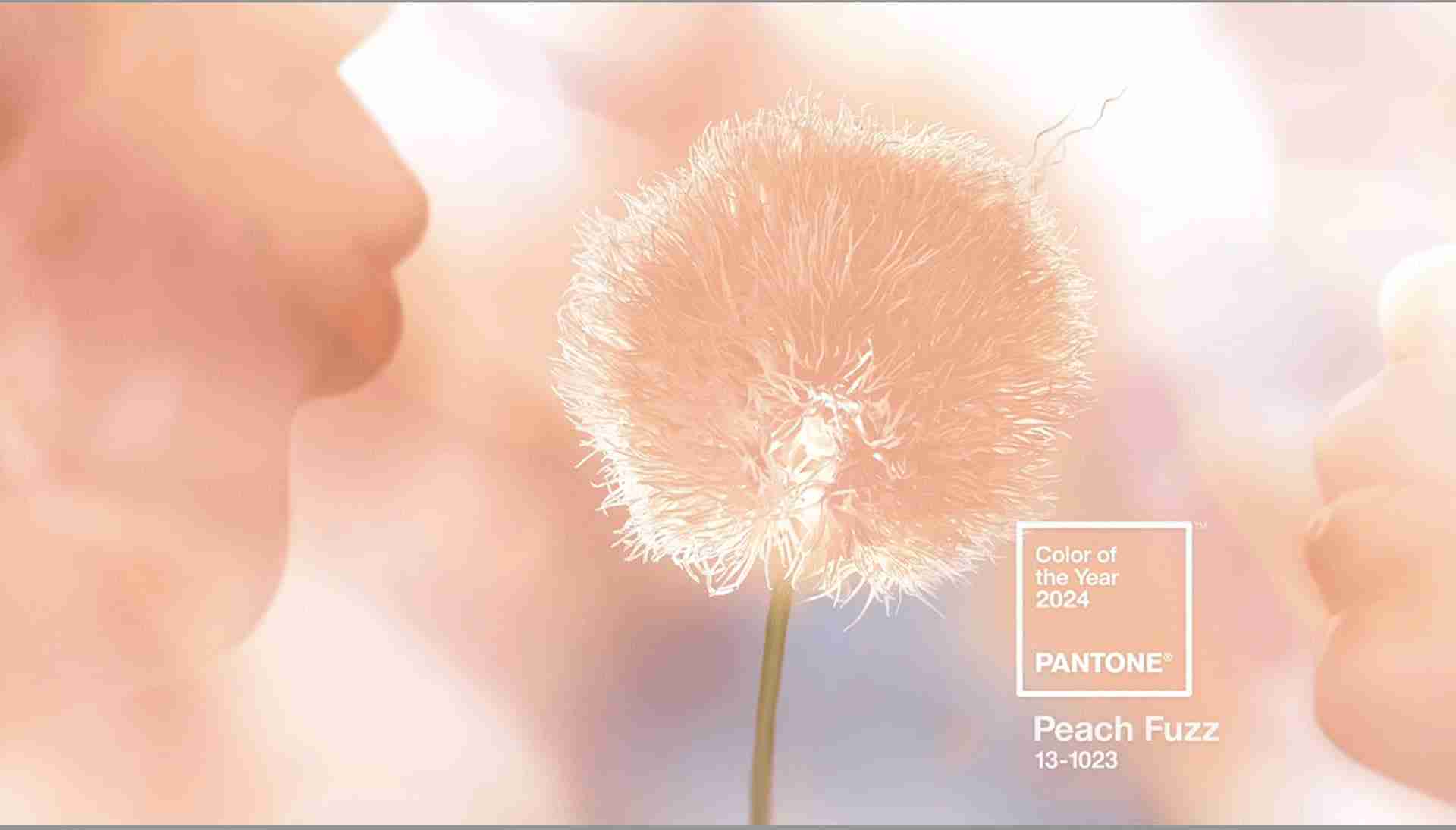 Peach Fuzz