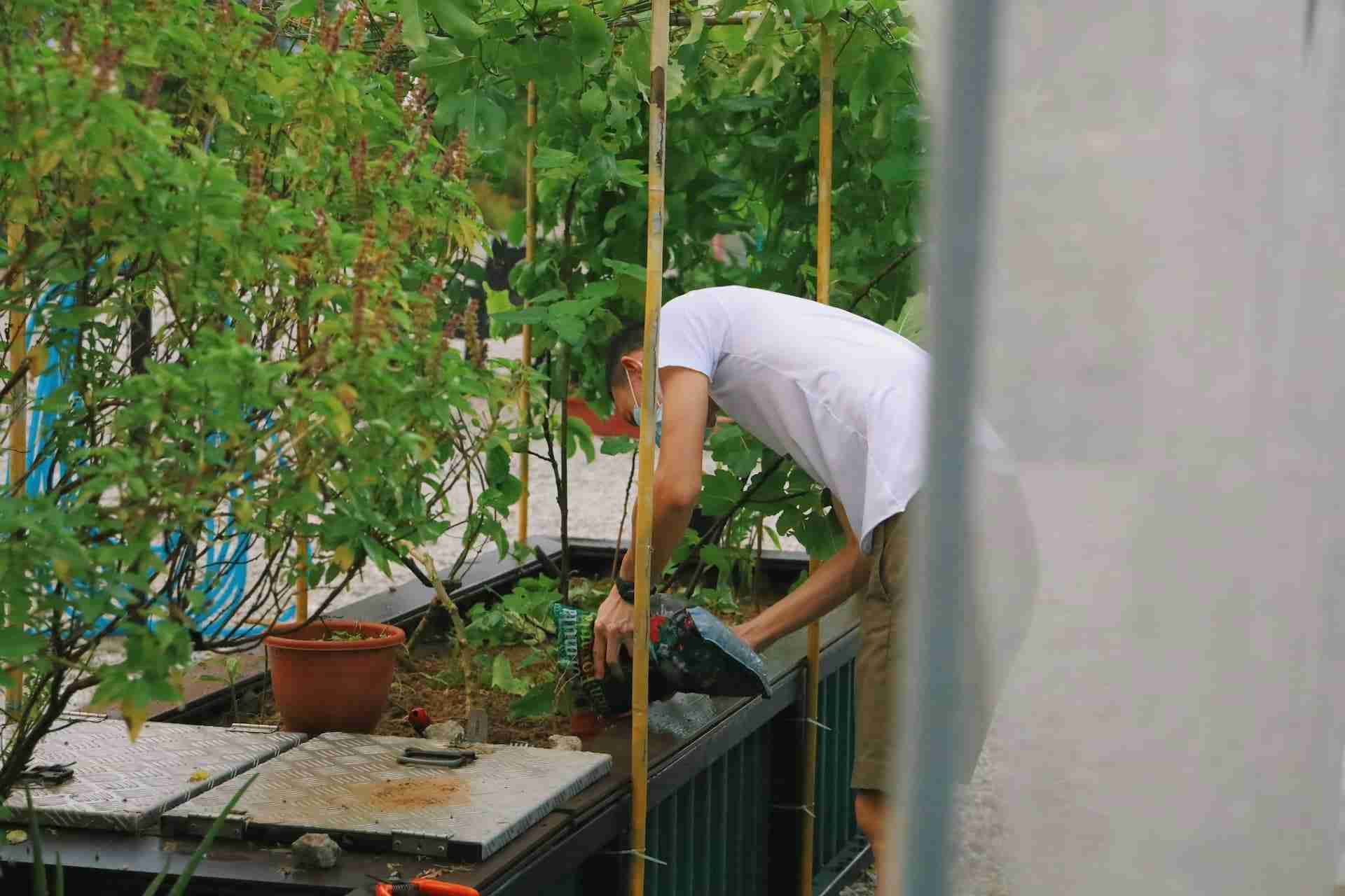 urban farming
